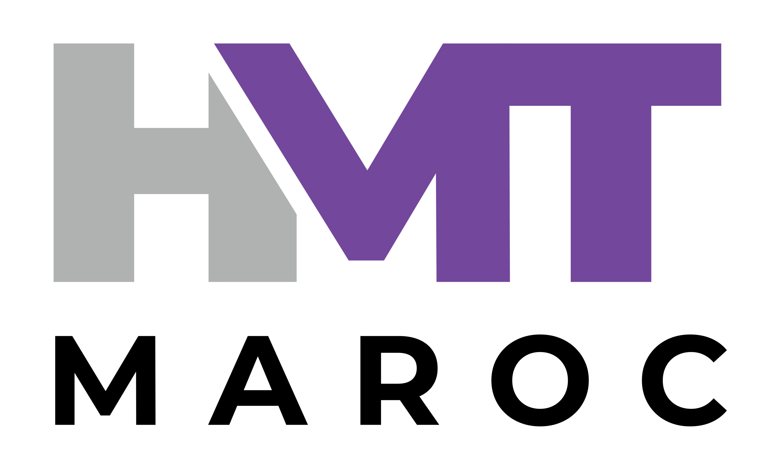 logo hm techno-01